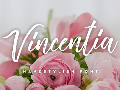 Vincentia Handstylish Font ($16) brush calligraphy deerhead design devan font modern script typography vincentia