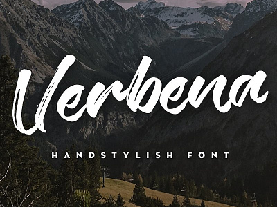 Verbena Handstylish Font ($14) brush brushes deerhead devan fonts hipster lettering logo modern typography vintage
