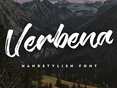 Verbena Handstylish Font ($14)