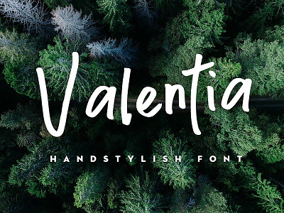 Valentia Handstylish Font ($12) brush deerhead devan fonts handmade handwritten logo tumblr valentia