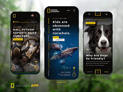 National Geographic - Concept App android animal app concept design design app figma interface ios mobile national geographic phone science travel ui uidesign uiux ux vector wildlife