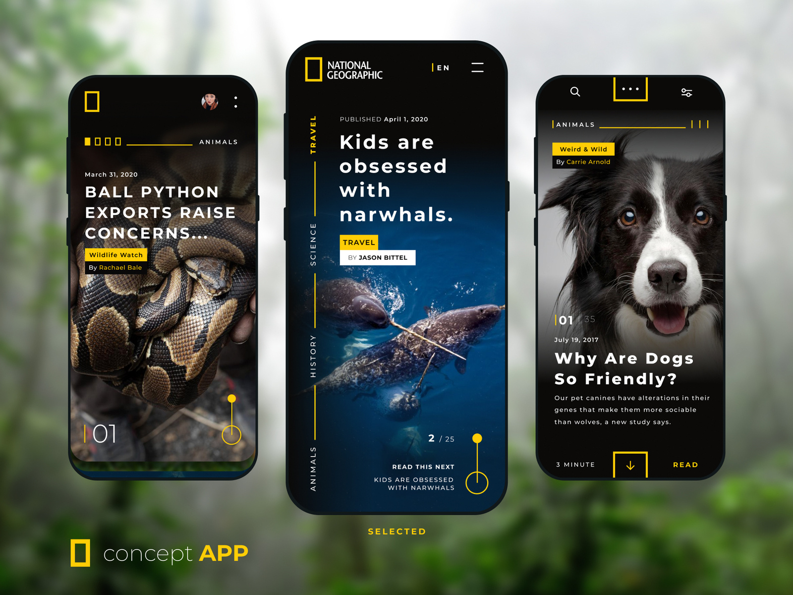 National Geographic Concept App by Fábio Santos on Dribbble