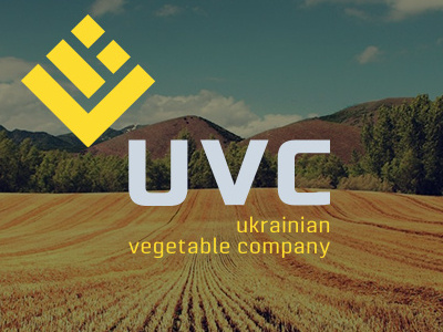 РАЗРАБОТКА BRANDBOOK ДЛЯ "UVC" web design айдентика брендинг дизайн логотип упаковка этикетка