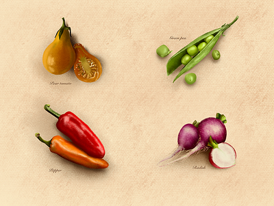 Vegetables graphic illustration procreate procreateapp vegetables
