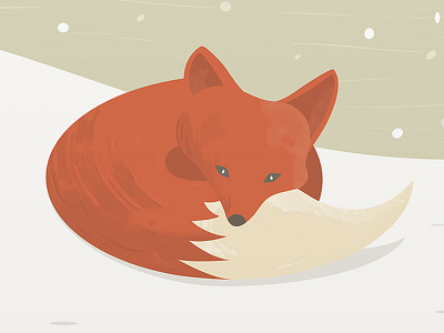 Fox in the snow