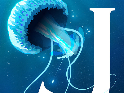 Jellyfish (detail) australia fauna illustration jellyfish poster