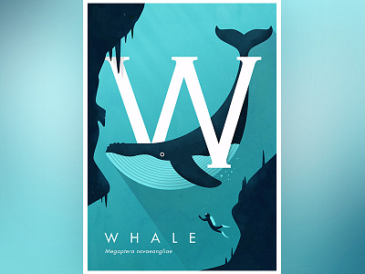 Whale (Megaptera novaeangliae)