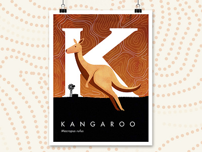 Kangaroo (Macropus rufus)