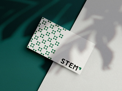 STEM Logo Branding branding design businesscard eco design eco friendly branding leaf pattern design plant logo product design branding