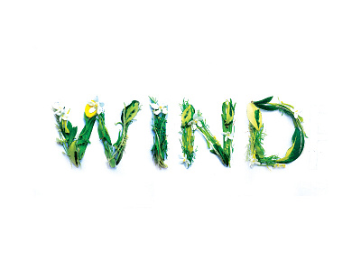 Wind experimental experimental typography flowers typography