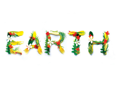 Earth experimental experimental typography flowers typography