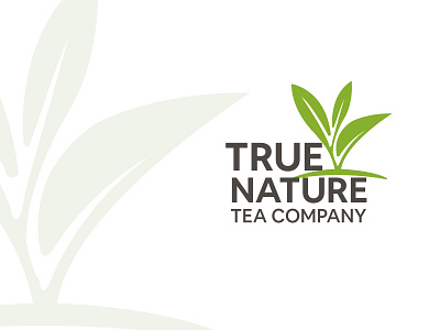 True Nature Tea Company gree leaf tea true