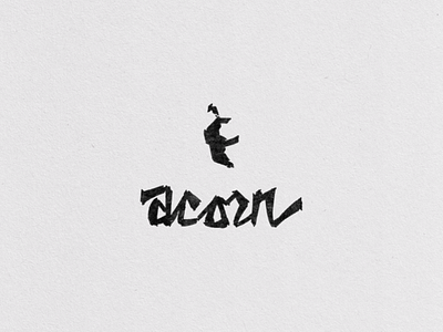 Acorn acorn handlettering illustration