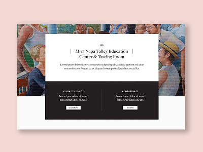 Mira Website branding webdesign website winery