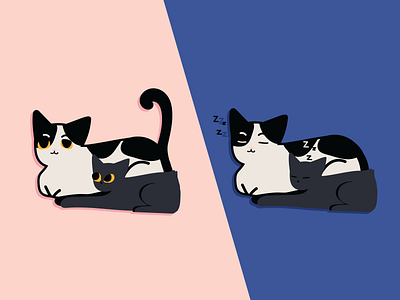 Ollie and Miss Kiwi cartoon cats illustration illustrator pets vector