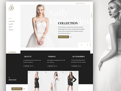 Sally Daneshjou Collection design fashion layout web design