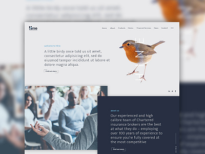 A little bird once told me... clean design develop homepage landing page photo photography ui ux webdesign website