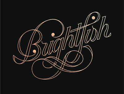 BrightFish Logotype branding brushtype calligraphy design identity illustration logo type typo typography visual