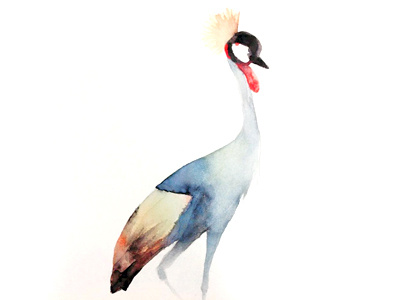 Crowned Crane bird brush colours handmade watercolours