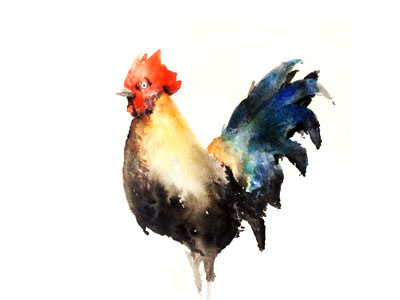 Rooster beautiful bird brush chicken colours handmade rooster watercolours