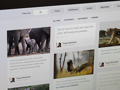 Ranger & Guest Diaries africa design filter listing luxury molori safari sort source sans pro tweets website