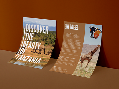 Poster Design - African Heart Safari brow colors design flyer poster safari