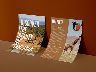 Poster Design - African Heart Safari