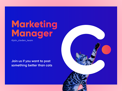 Weekly UI – Marketing Kitty  😸