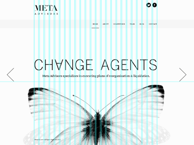 Meta Advisors website branding web design