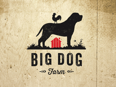Big Dog Farm brand identity logo signage