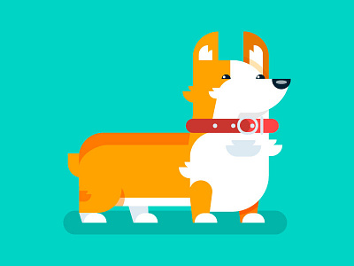 Corgi