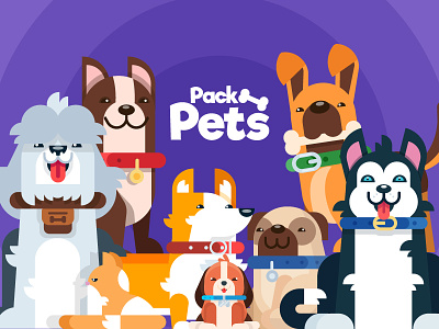 Pack Pets! cats characters design dogs illustration minimal pet pets puppy