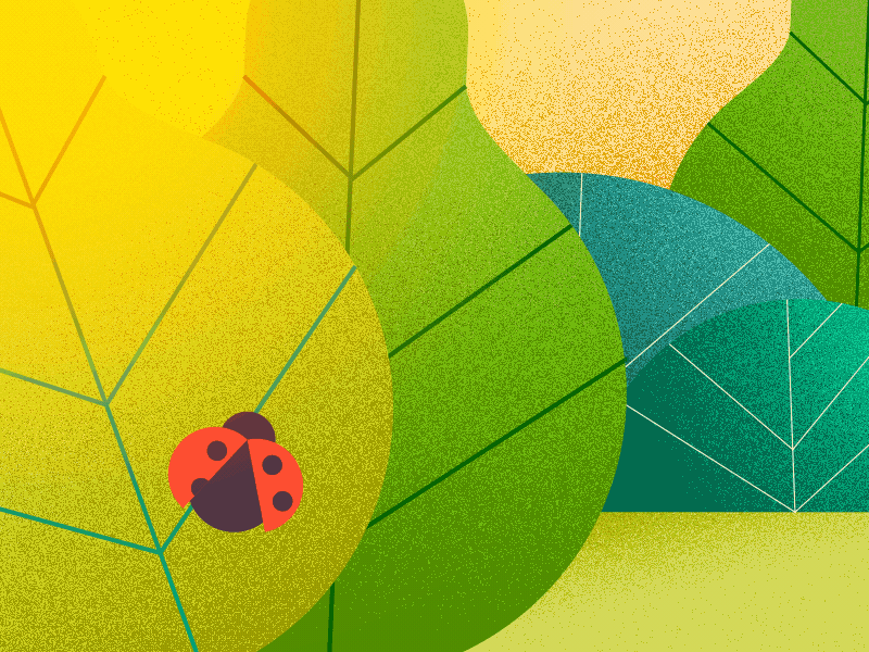 πππ gif illustration motion animation2d 2d animation character
