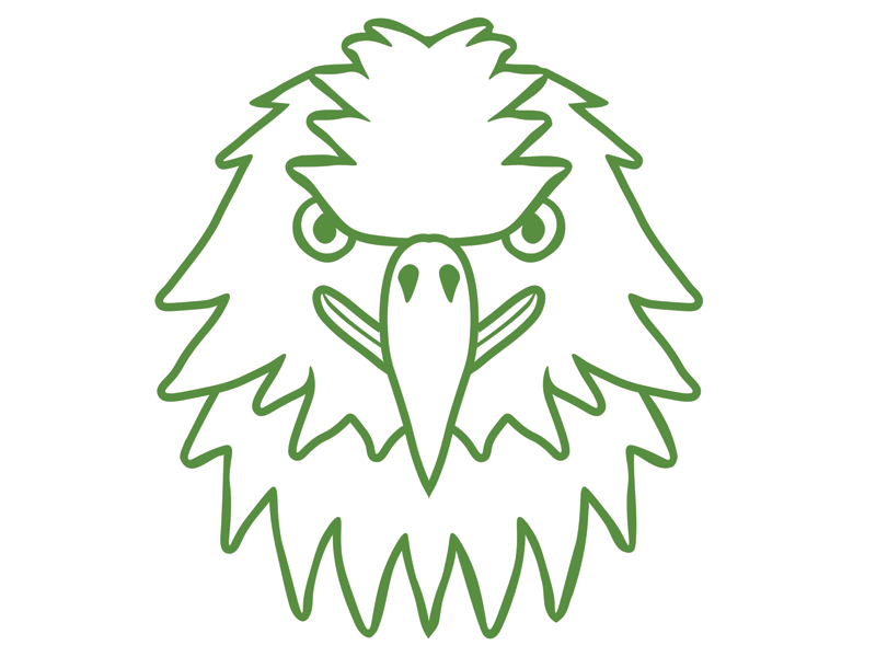 Eagle Icon Design 2d cartoon character character design clean drawing flat graphic design graphics green illustration