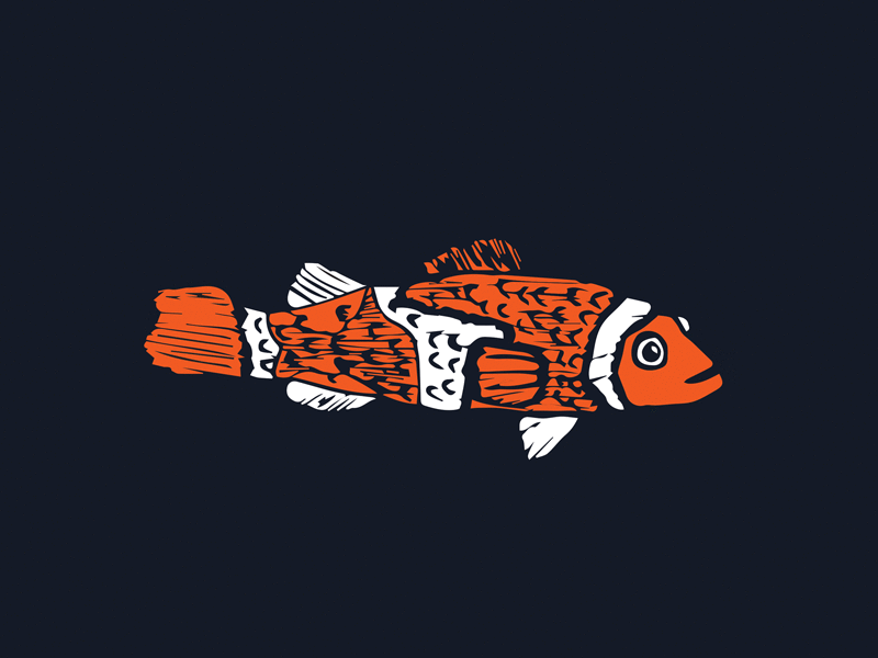 Fish Friend 2d cartoon character character design clean drawing fish flat graphic design graphics illustration