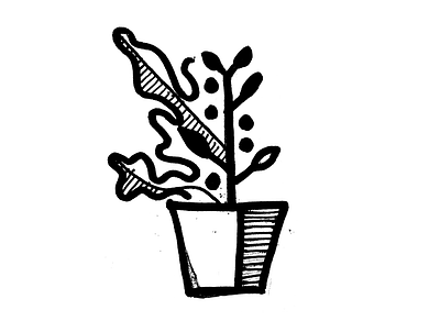Office Plant illustration plant