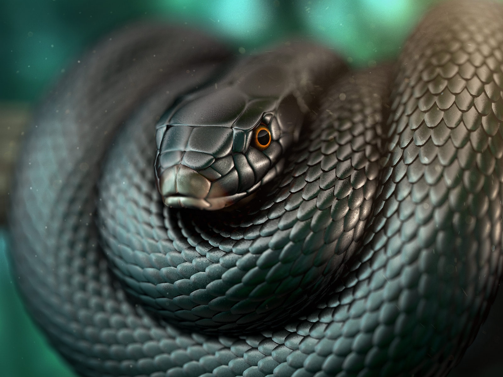Черная мамба 2023. Змея Тайпан голубая. Чёрная мамба змея. Королевская Кобра черная змея. Змея чёрная мамба 100.