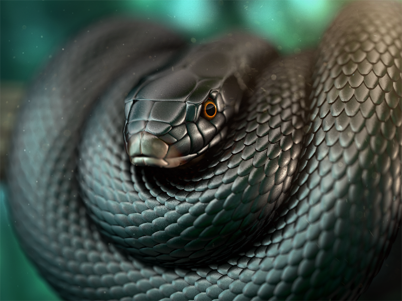 Tragedylabour Judge Dies After Poisonous Black Mamba Bites Him While On Holiday Daily Active 5235