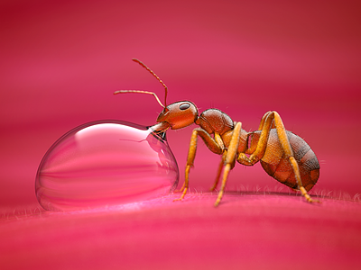 Little Ant 3d animal animals ant colorful drinking nature pink rendering