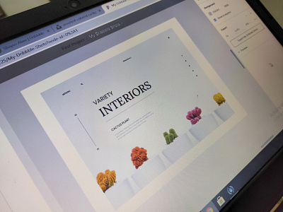 Variety Interiors Web design