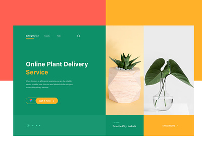 Plant Delivery Web design