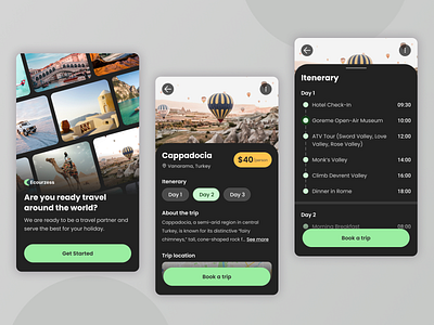 Travel App app application ui design travel turkey ui world