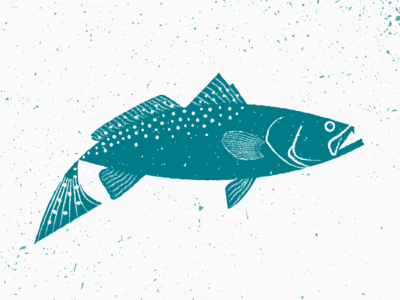 Catch 'Em Club fish fishing illustration sea spotted trout