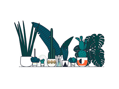 Urban Jungles art direction cactus creative design digital art graphic ideas illustration plants sukulent vector