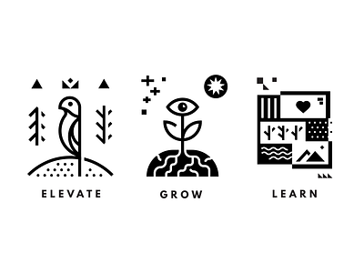 Elevate / Grow / Learn