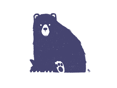 Bear animal animal art animals bear bears black bear brown bear hand drawn illustration mammal negative space procreate
