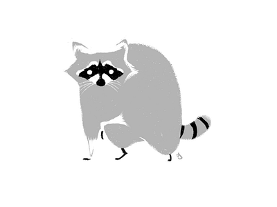 Raccoon animal forest forest animals fur furries furry hand drawn mammal mammals negative space procreate raccoon raccoons woodland woods