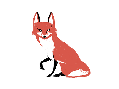 Fox animal drawing fox hand drawn illustration negative space procreate