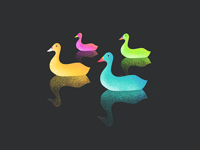 Team animal aquatic bird drawing ducks flock fowl hand drawn illustration procreate team teams