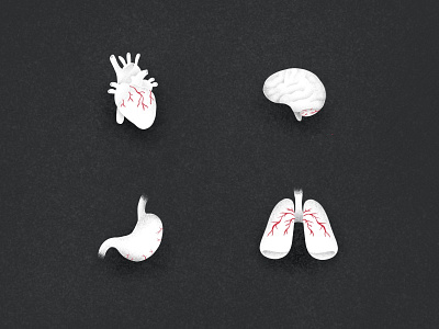 Organs anatomy body parts brain drawing hand drawn heart illustration lungs organs procreate stomach